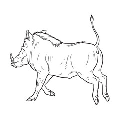 Powerful Warthog Line Art – Warthog Vector Outline Drawing with Strong Facial Details – Warthog Drawing – Vector of Warthog – Warthog Outline


