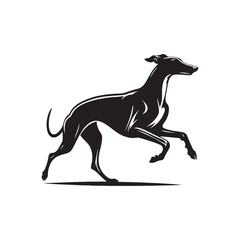 Greyhound Dog Vector Silhouette - Minimalist Greyhound Dog Vector - Illustration of Greyhound Dog.