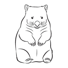 Stylized Wombat Line Art – Wombat Vector Illustration Refined Drawing with Rounded Structure – Wombat Drawing – Line Art Drawing of Wombat – Wombat Icon

