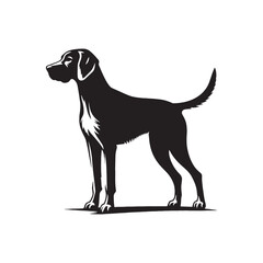 Harrier Dog Vector - Minimalist Harrier Dog Silhouette - Harrier Dog Illustration.