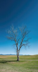 A lone, leafless tree stands in a vibrant green field against a clear, deep blue sky; rolling hills form a distant backdrop