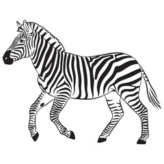 Classic Zebra Line Art – Zebra Vector Outline Drawing with Fine Striped Details – Zebra Drawing – Vector of Zebra – Zebra Outline

