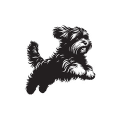 Havanese Dog Vector - Illistration of Havanese dog Silhouette - Havanese dog silhouette.