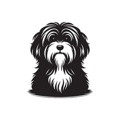 Havanese Dog Vector - Illistration of Havanese dog Silhouette - Havanese dog silhouette.