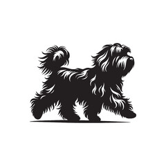 Havanese Dog Vector - Illistration of Havanese dog Silhouette - Havanese dog silhouette.