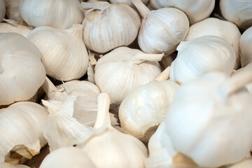 A pile of whole garlic bulbs (Allium sativum) fills the frame. This background image is ideal for topics related to healthy food, vegetarian and vegan diets, natural medicine, and flavorful cooking.