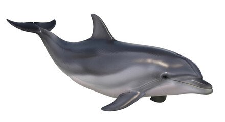 A realistic dolphin swimming isolated on a transparent background © Sekendar