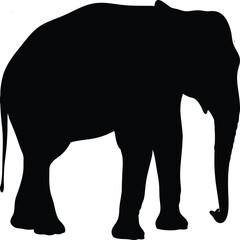 Elephant silhouette vector illustration of a wild animal, isolated on a white background, perfect for a nature-inspired design