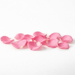Pink petals on white