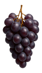 Cluster of purple grapes with bloom coating on individual berries