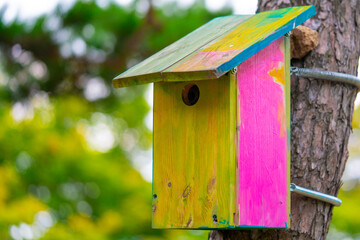 Colorful bird house hanging on a tree.