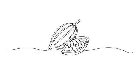 Whole and half cacao pod continuous line drawing vector illustration