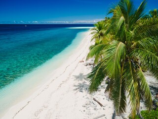 Tropical beach with palm trees, sand and turquoise ocean, paradise island aerial view.