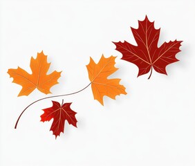 Autumn Maple Leaves On White Background