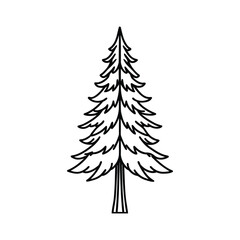 Stylized black and white drawing of a tall evergreen tree