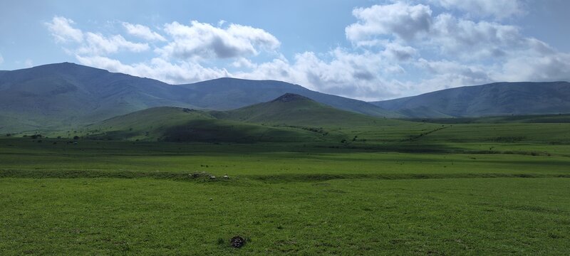 Large spring meadows located in the Boraldai Gorge, Turkestan region, Baydibek district, Bolshaya Tura Mountain, Syrdarya-Turkestan Park, to the village of Terekty, Republic of Kazakhstan.