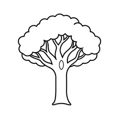 Simple outline drawing of a large deciduous tree with a full canopy