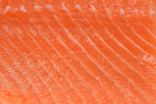 This close-up shot shows the texture of a fresh salmon fillet, highlighting its distinct muscle fibers and vibrant orange color