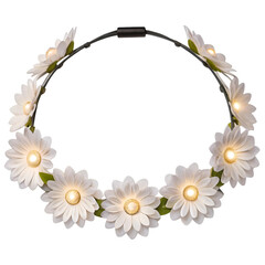 Fototapeta premium frame of daisies