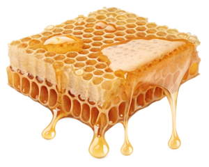 Golden honeycomb glistens under sunlight, capturing nature's sweetness and nurturing magic in a perfect blend of flavors and textures Generative AI