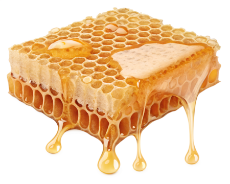 Golden honeycomb glistens under sunlight, capturing nature's sweetness and nurturing magic in a perfect blend of flavors and textures Generative AI