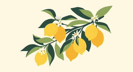 A bunch of fresh lemons growing on a tree branch with green leaves and white flowers