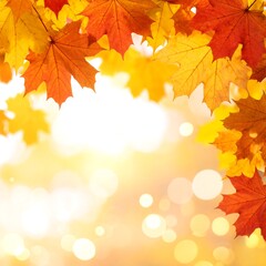 Fototapeta premium Autumn leaves in sunlight bokeh