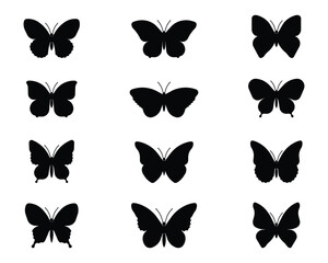 butterfly pack set collection pack bundle black shape icon silhouette vector flat illustration design on white background