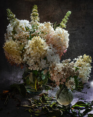 Composition of plants, on black background, still life