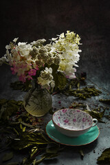 Composition of plants, on black background, still life