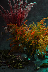 Composition of plants, on black background, still life