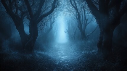 Mystical forest path at night