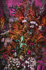 Composition of plants, on black background, still life