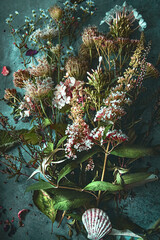 Composition of plants, on black background, still life