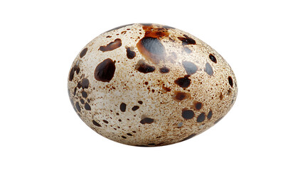 One Natural Quail Egg, isolated on transparent background, PNG