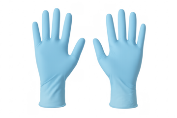 Two light blue medical gloves open on transparent background