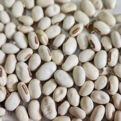 White Beans Close-Up for Culinary and Agriculture Use