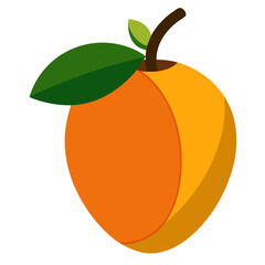 orange fruit vector illustration