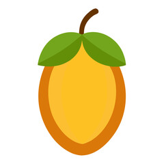 orange fruit vector illustration