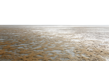  vast expanse of mud flat  isolated on white background
