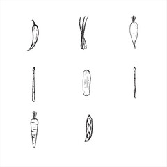 illustration of vegetables for World Vegetable Day	
