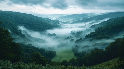 Obraz premium A beautiful valley with trees and rolling fog creating a tranquil and serene natural scene