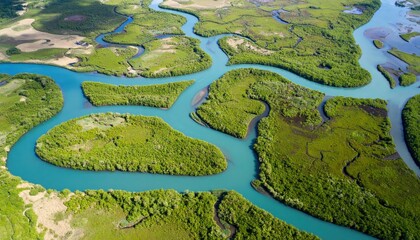 Azure Riverine Maze: An awe-inspiring aerial shot captures the intricate network of azure river channels winding through lush greenery and fertile earth.