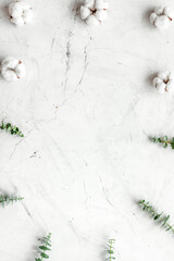 Flowers frame with fresh eucalyptus branches and cotton on white background top view copy space © 279photo