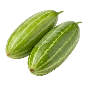 Two Pointed Gourd Vegetables on Transparent Background, Potol Plant, Trichosanthes Dioica