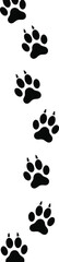 Animal paw prints trail