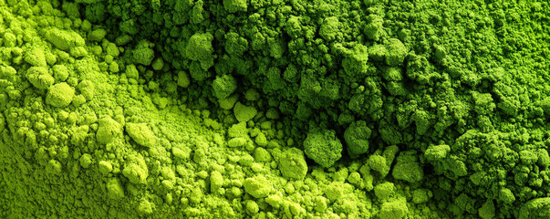 Obraz premium Vibrant green powder texture showcasing a rich variety of shades and granule sizes for artistic or culinary use