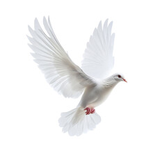 White Dove in Flight Purity Peace Symbolism, isolated on a transparent background
