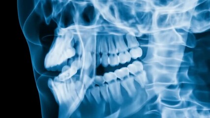 Panoramic Jaw & Spine X-Ray: Detailed Medical Imaging Visualization - Powered by Adobe