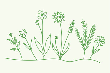 Charming Floral Line Art Collection.